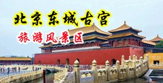 插中国老女人的肥屄中国北京-东城古宫旅游风景区